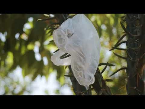 Drifting Air — 4K Plastic Bag in the Wind