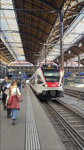 S6 in Bahnhof Basel SBB Schweiz🇨🇭#sbb #cff #ffs #sbahn #züge #train #travel #shorts #yt