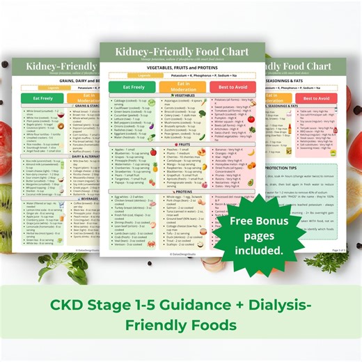 Kidney Disease Food List, Low Sodium, Potassium, Phosphorus Foods Chart, Renal Diet & Kidney Stone Grocery List - Etsy Canada