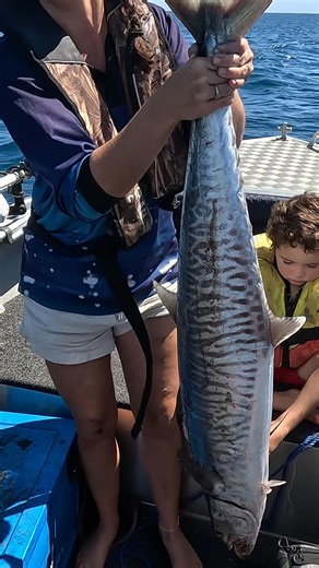 680 reactions · 17 shares | Crystal-clear water, white sandy beaches & 4WD-only access. The ultimate WA camping spot! ✨ | Anaconda Stores | Facebook