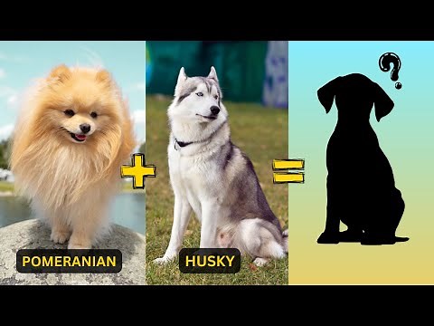 Top 21 Unusual & Weird Dog Breed Mixes You've Never Seen Before!