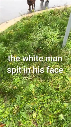 conroy TV on Instagram: "Guys check this out watch to the end 🤔"