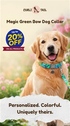 Personalized Girl Dog Collar with Bow for Small & Large Dogs | CurliTail #puppy #customdogcollar