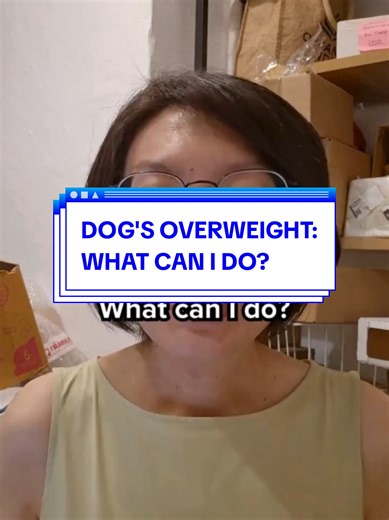 Good Dog People's Pet Store on TikTok