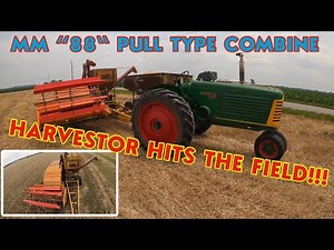 HARVESTOR hits the Field!!! WHEAT HARVEST 2023: Minneapolis Moline Pull type combine