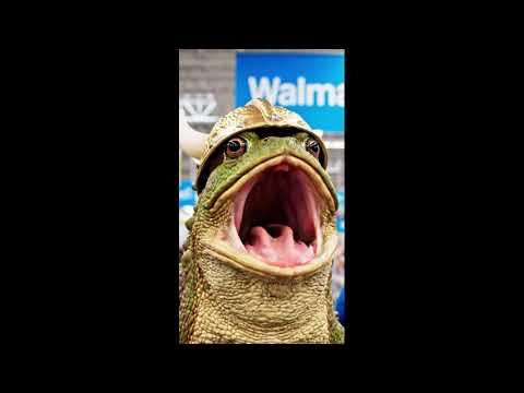 The Best Versions of Toad Screaming from his LunGs! #humor #viral #2026