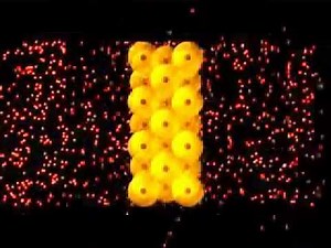 Rutherford model of the atom
