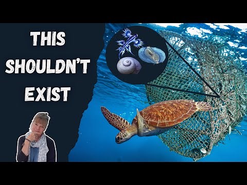 We Accidentally Created a New Ocean Ecosystem | The Great Pacific Garbage Patch