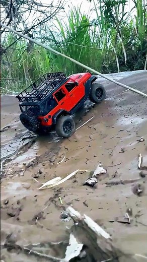 "RC Adventure Wheel: Explore the World of Remote Control Cars!"