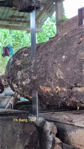 Big Pin Oak Milling Process: A Visual Delight