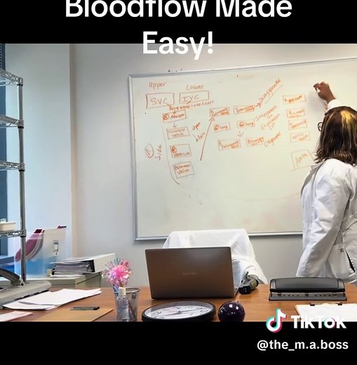 Circulatory Bloodflow Made Easy!