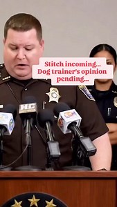 Pushchair/stroller for dogs? Valid or not? | Glasgow Dog Trainer and Behaviour Consultant