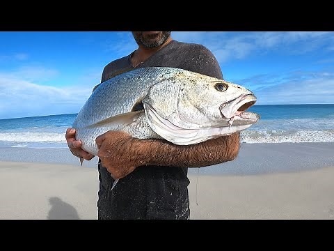 Mulloway Fishing From The Beach, Perth Western Australia