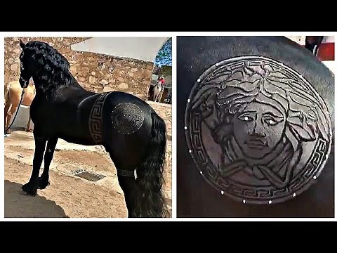 Horse Haircut Designs 😱 | Amazing Barber Skills By Rob The Original