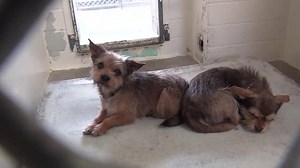 18K views · 744 reactions | BOTH SAFE! CASH and ASAP are missing...