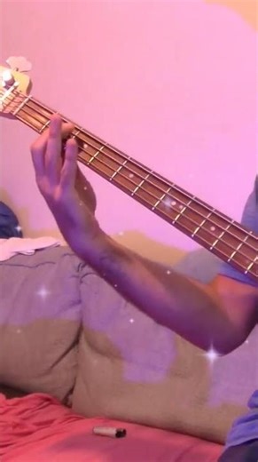 Camel-The Snow goose(bass cover) #bass