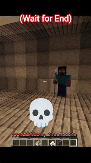 (wait for end💀🥀) #minecraft