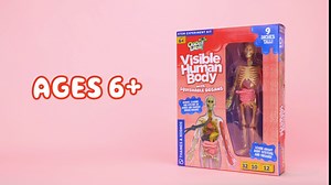 Thames & Kosmos Ooze Labs: Visible Human Body with Squishable Organs