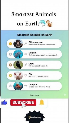 Smartest Animals on Earth (Ranked by Intelligence)🐬🐒