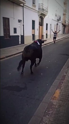 ¡SINTIÓ SU ALIENTO! El susto más real con un Toro Cerril #toros #taurino