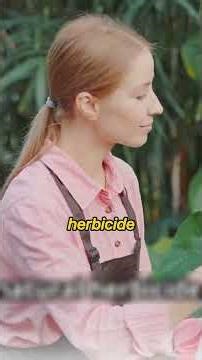 Stop Wasting Time and Money on Chemicals – Try These Simple Weed Killers