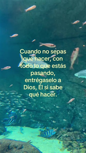 Cuando no sepas qué hacer: entrégaselo a Dios