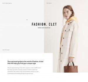 Fashion.clct — Fashion Social Network Tool