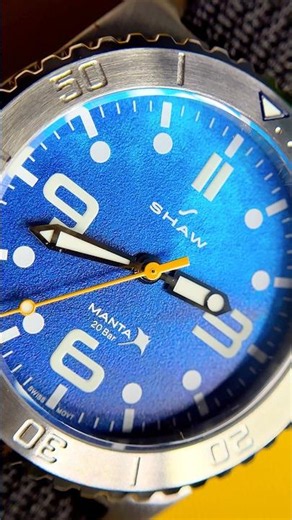 This ₹8,500 Diver Is Seriously Impressive! | Shaw Manta