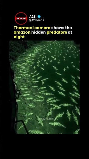 This Thermal Camera Reveals What’s Actually Hiding in the Amazon River at Night