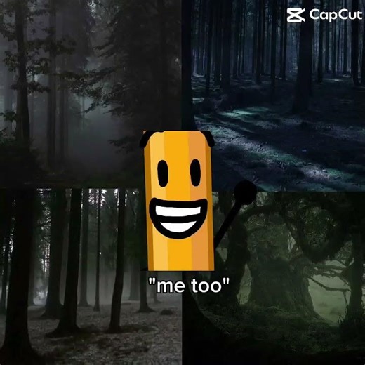 BFDI Ruby and Pencil like the same things!