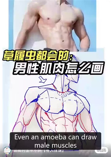 ฅ≽(•⩊ •マ≼ male figure drawing practice. anatomy tutorial for artists from RedNote ~ save and practice . follow for more art lessons and art ideas 💡 . . . credit: id6718177870 . . #arttutorials #xiaohongshuart #artlesson #animeart #animearttutorial