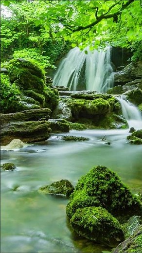 Progressive Muscle Relaxation is a Useful Tool in Relieving Stress & Anxiety