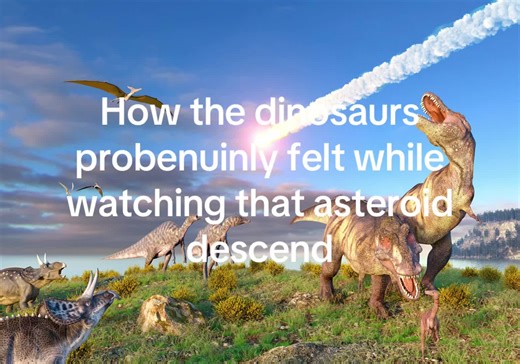 Dinosaurs' Reaction to the Asteroid: A Meme Exploration