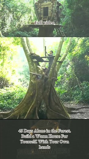 Full video ｜ 45 Days Alone in the Forest. Build a Warm House For Your... | Martin Green