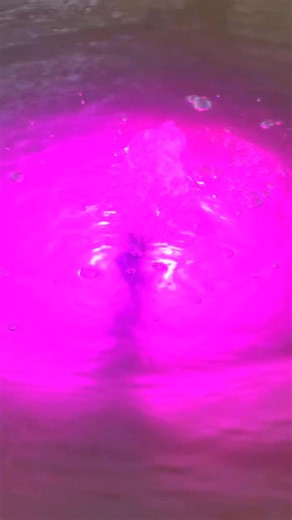 A small water feature like this can transform any garden, balcony, or patio into a calming space full of colour, movement, and life. Simple, stunning, and surprisingly easy to maintain. Perfect for anyone wanting a touch of nature without the full pond setup. 🌿💧 #Aquascape #GardenDesign #WaterFeature #PatioBowl #OutdoorLiving #PondAdvisor #LandscapeIdeas #GardenLighting | The Pond Advisor