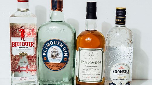 11 Types of Gin (Yes, 11) and How to Use Each One