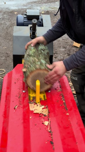 zavod-skif на TikTok