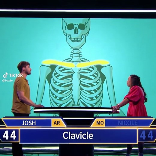 Can You Name All 206 Bones in the Human Body?