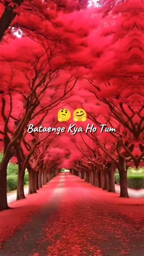 Miloge kabhi jo Tum batayenge kya ho Tum 💞 lyrics status #trending #love #shorts #lyrics #status #yt
