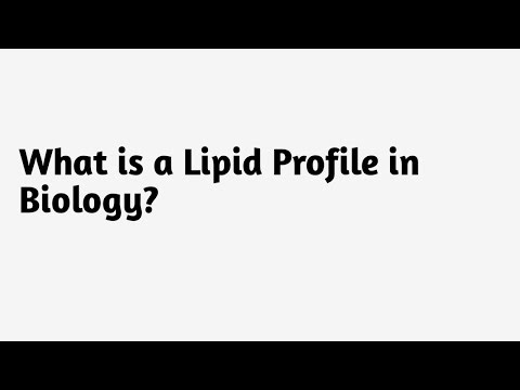 What is a Lipid Profile in Biology ?