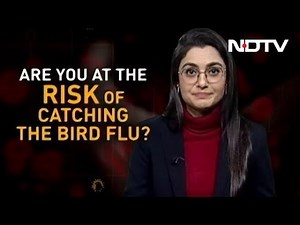 Eating Eggs, Chicken During Bird Flu: All You Need To Know | FYI