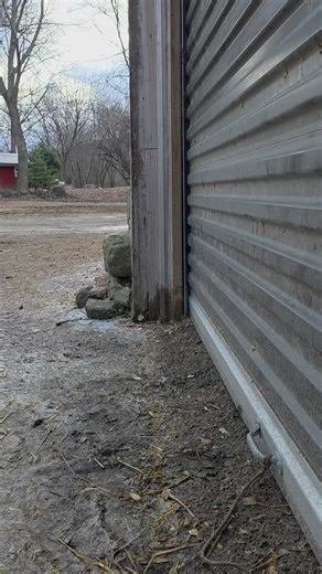 Morning Roll-Out: Paws on Patrol with Runner Ducks