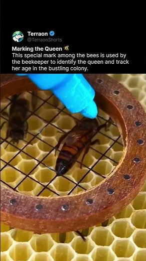 Beekeeper’s Secret Mark
