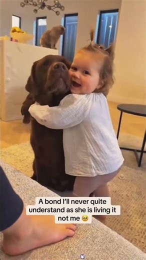 Funny Dogs Playing Games#dog#funny#funnyanimals#funnypets#animals