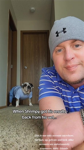 Shrimpy's Vet Results Revealed
