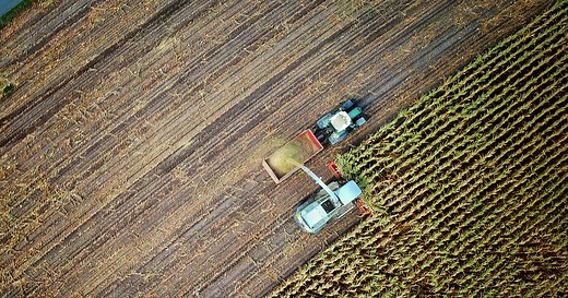 About Pinion Global | Food and Ag Consulting Services | Pinion Global