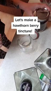 Let's make a hawthorn berry tincture! #holistichealing #healthiswealth #plantmedicine #herbalism #herbalist #herbalmedicine #herbs #hawthorn #hawthornberry #hearthealth #medicinemaking #tincture | Barefoot Earth Apothecary