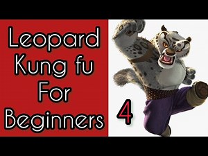 real timing kung fu class / leopard kung fu lesson 4 / coolest leopard kicks