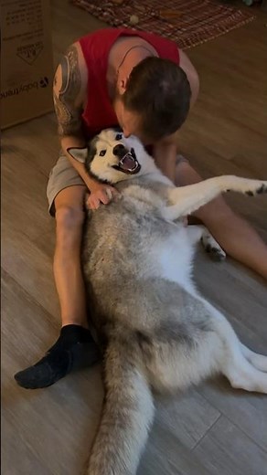 Vampire Dog and Dad