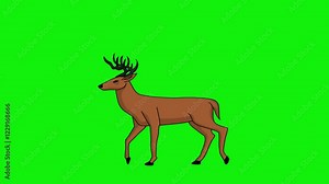 2D Animation of an Brown Deer Walking in Place with Movement (Looping) on ​​a Green Screen Background